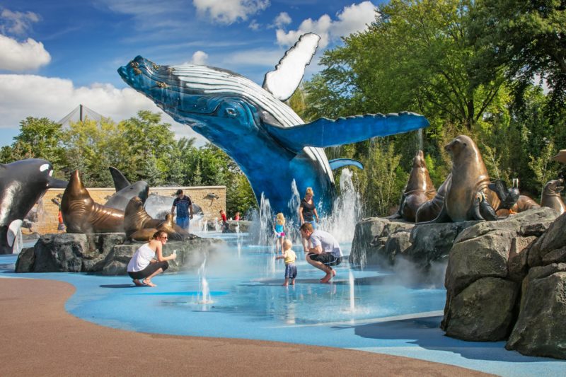 Use Driven Rewards points to explore Omaha, a city served by Trailways bus service and charter bus rentals